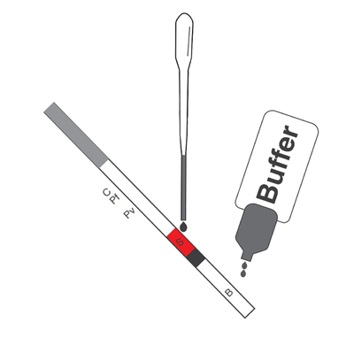 Bluetooth-Analysator L.P.-100 van Printerfor dry chemistry
