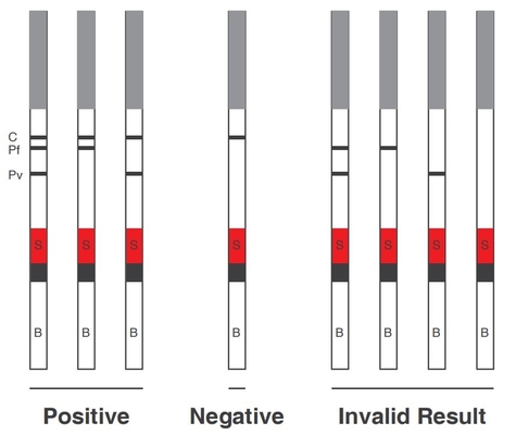 Malariapf PV Antigeentest door Colloïdale Gouden IVD Testreagens