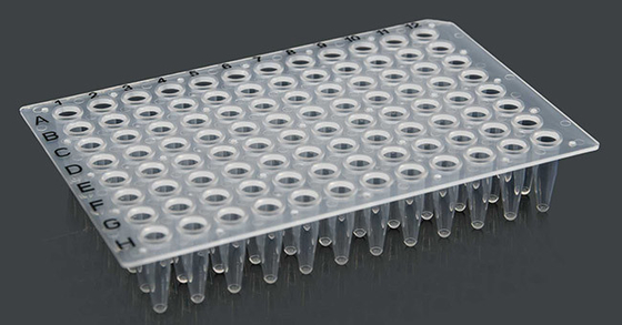 0.2ml 96 Well Culture Plate, PP Non Skirted PCR Plate Medical Grade